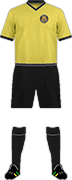 Camiseta BASHLEY F.C.-1-min