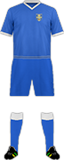 Camiseta BISHOP'S STORTFORD F.C.-min