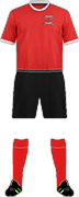 Camiseta WESTERHAM F.C.-min