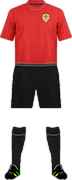 Camiseta WORMLEY ROVERS F.C.-min