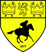 Escudo de NEWMARKET TOWN F.C.-min