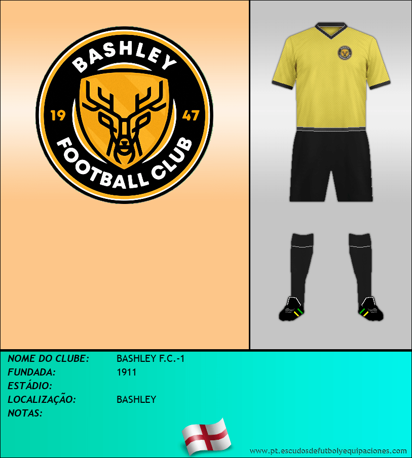Escudo de BASHLEY F.C.-1