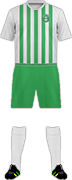 Camiseta BRAY WANDERERS F.C.-1-min