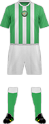 Camiseta BRAY WANDERERS F.C.-min