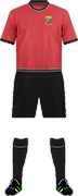 Camiseta UNIVERSITY COLLEGE CORK FC-min