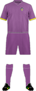 Camiseta WEXFORD F.C.-1-min