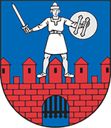 Escudo de SK CESIS-min