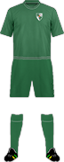 Camiseta FK ZALGIRIS KAUNAS-min