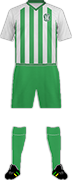 Camiseta FK ZALGIRIS VILNIUS-2-min