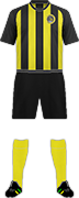 Camiseta FC YELLOW BOYS-min