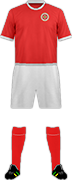 Camiseta SELEÇÃO MALTA DE FUTEBOL-min