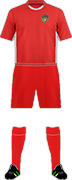 Camiseta ARIANA F.C.(SWE)-min