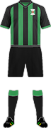 Camiseta VARBERGS BOLS FC-min