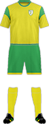 Camiseta FC ECHALLENS RÉGION-min