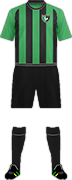 Camiseta DENIZLISPOR K.-min