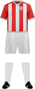 Camiseta SAMSUNSPOR K.-min