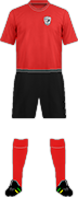 Camiseta FC PROBIY HORODENKA