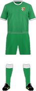 Camiseta FC VORSKLA-min